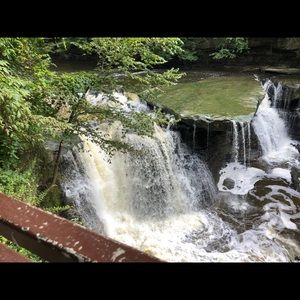 Meet your Posher, Jill